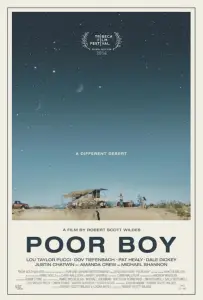 Бедный мальчик (фильм 2016)