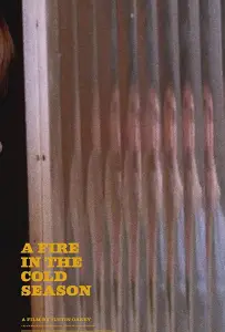Пожар в холодное время года (фильм 2020)