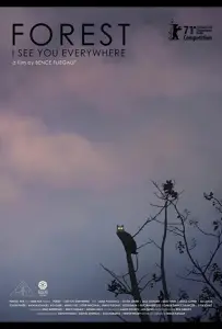 Лес: Вижу тебя повсюду (фильм 2021)