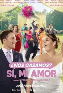 Мы поженились? Да, любовь моя (фильм 2022)