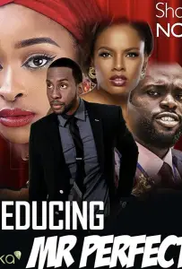 Соблазнить мистера Совершенство (фильм 2019)