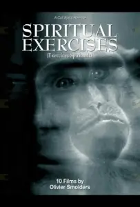 Любитель (фильм 1996)