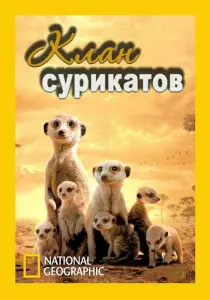 National Geographic. Клан сурикатов (фильм 2010)
