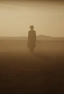 Отголоски (фильм 2014)