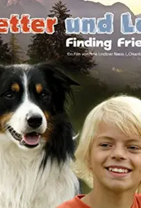 Находя друзей (фильм 2005)