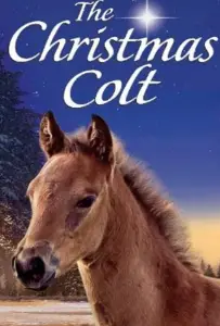 Рождественский жеребёнок (фильм 2013)