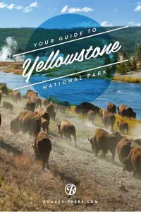 Приключения Йеллоустоун (фильм 2013)