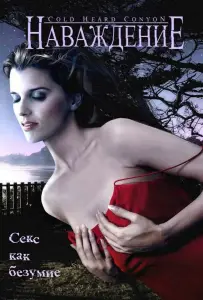 Наваждение (фильм 2008)